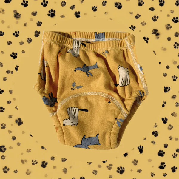 ZanySplash™ Potty Training Underwear
