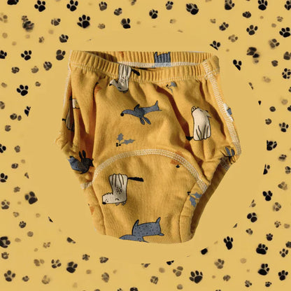 ZanySplash™ Potty Training Underwear