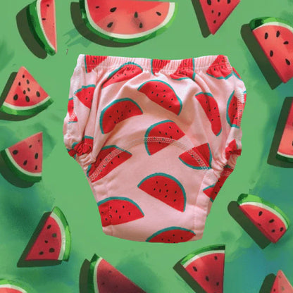ZanySplash™ Potty Training Underwear